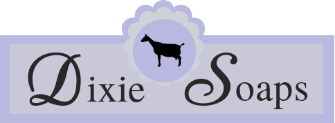 Dixie Soaps logo